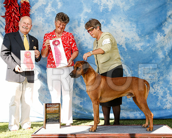 _ST_3085-2-AlamogordoOct2014-HR3
