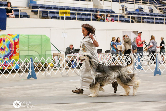 _JJ_0020-AblnMay2014-web