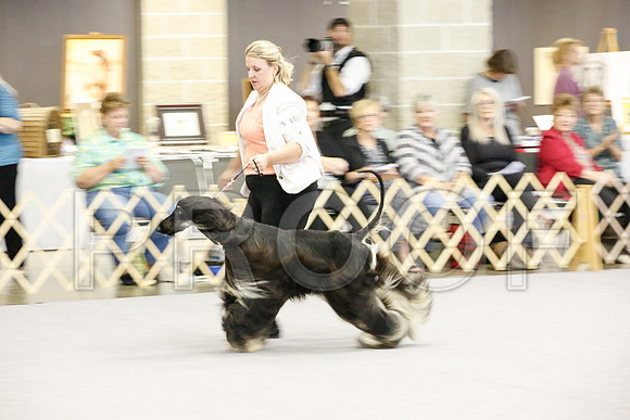 _JJ_0811-AfgBeltonOct2014-HR3