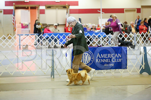 _JJ_8249-AmarilloSept2014-HR3