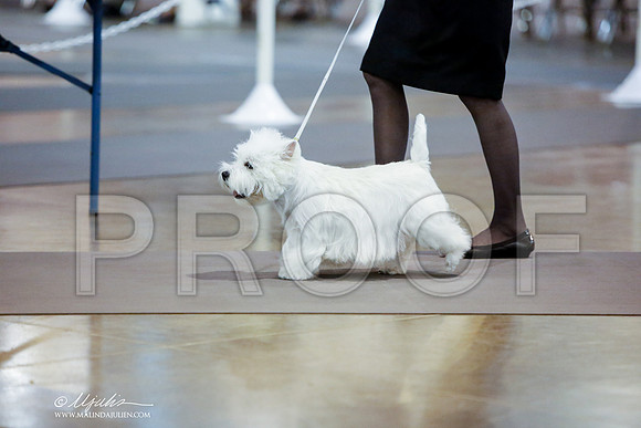 _JN_0020-HstnJul2014-HR3
