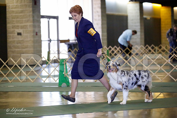 _JN_2806-BeltonJan2015-HR3