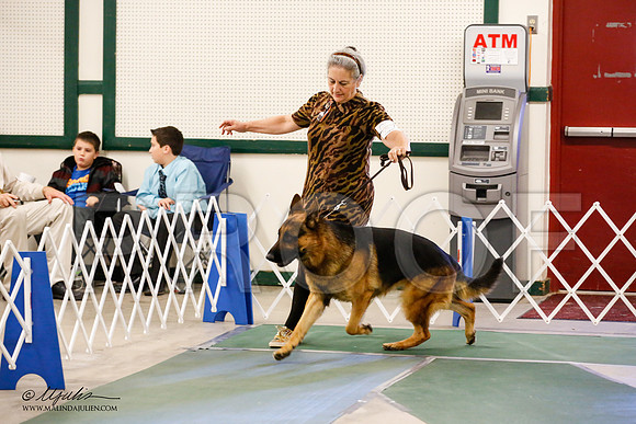 _JN_9559-NrmnNov2014-HR3