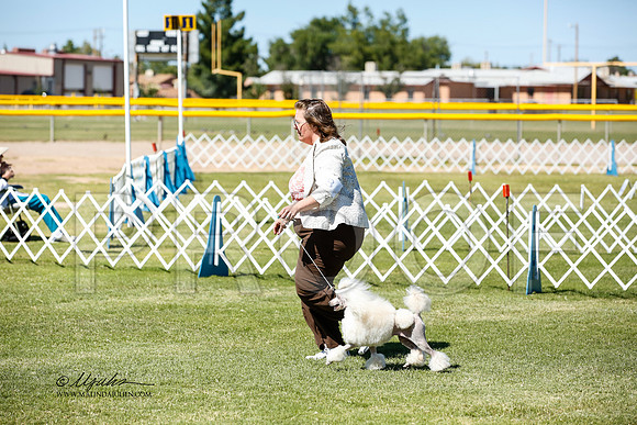 _JN_0991-AlamogordoOct2014-HR3