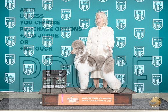 Poodle Std MC #186 FriSatHITQQQ Judge Terri Rein__JP_6567_BatesvilleMS_2024_HR3