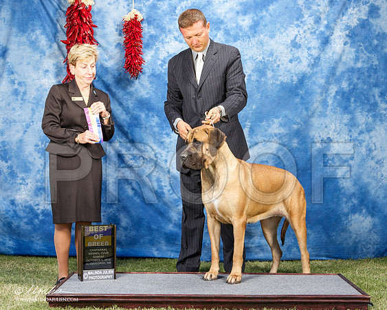_ST_3681-AlamogordoOct2014-HR3