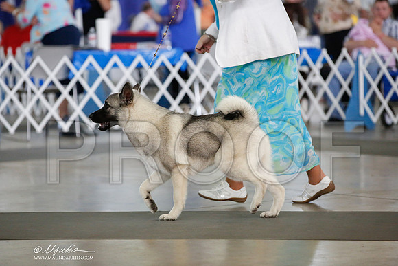 _JJ_5141-DallasJul2014-HR3