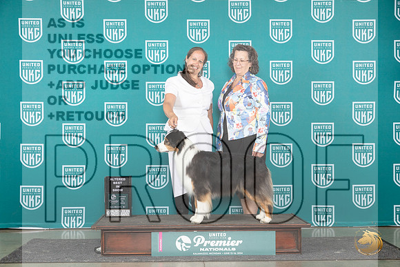 Australian Shepherd #153 Fri ARBIS Judge Sharon Griffin__JP_2771_Premier_2024_HR3
