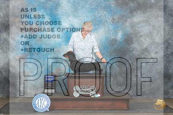Dachshund Smooth #10 Mon G1 Judge Dr Steve Keating__JP_4475_Lubbock_2024_HR3
