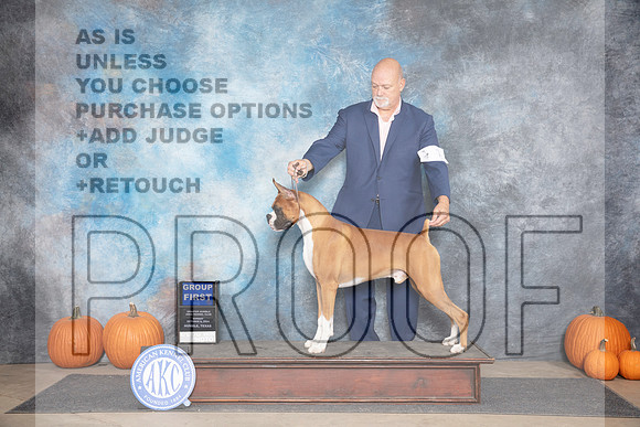 Boxer #7 Sun G1 Judge Jan Paulk__JP_9701_Humble_2024_HR3