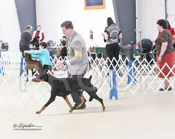 Dobe-0497