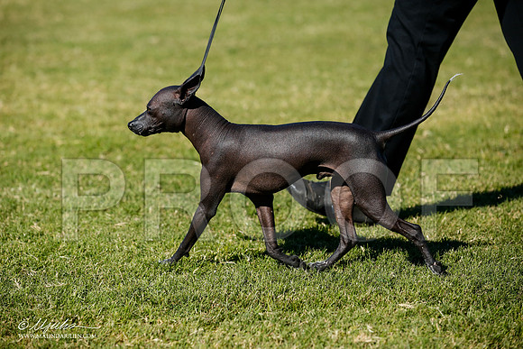 _JJ_6927-AlamogordoOct2014-HR3