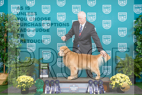 Golden Retriever #137 Sat G3__JP_2714_UKCTDI2024_HR3