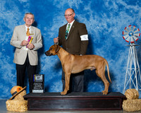 Rhodesian Ridgebacks #5 Sat BOB Martin Thomas Loretta Judge Mr Terry Stacy
