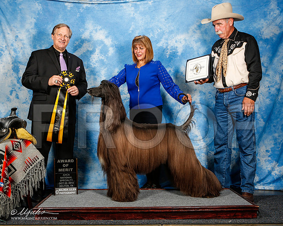 _ST_4606-2-AfgBeltonOct2014-HR3