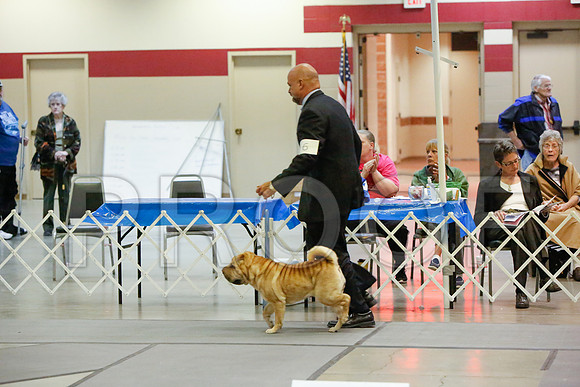 _JJ_4785-AmarilloSept2014-HR3