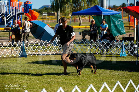 _JJ_8932-AlamogordoOct2014-HR3