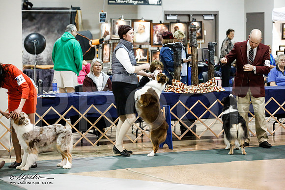 _JN_4266-ASCACollegeStationNov2014-HR3