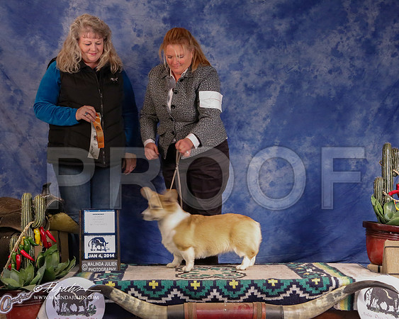 CorgPW-2891-GRJan14-HR