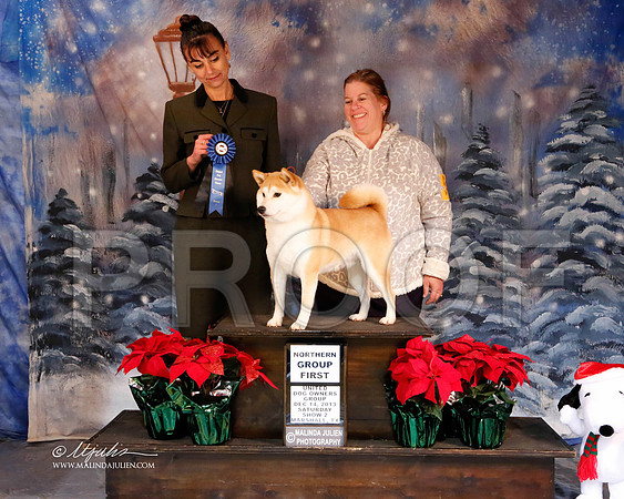 shiba-6283-MrshlDec13-HR