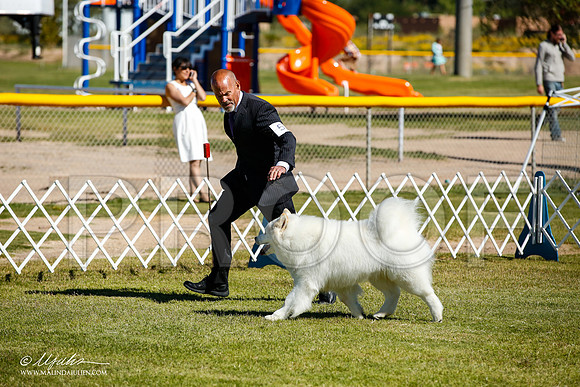 _JJ_9941-AlamogordoOct2014-HR3
