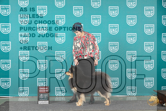 Finish Lapphund #236 Sat G2 Judge Deb Allen r__JP_2817_Premier_2024_HR3