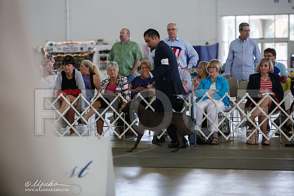 _JJ_2424-DallasJul2014-HR3