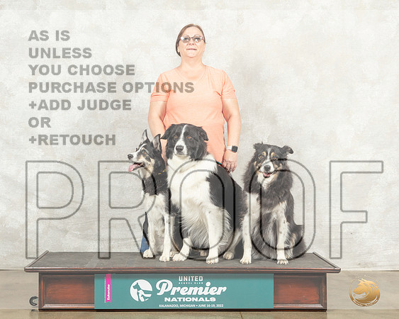 Border Collie Family Portrait__MJ_8349_Premier_2022_HR3