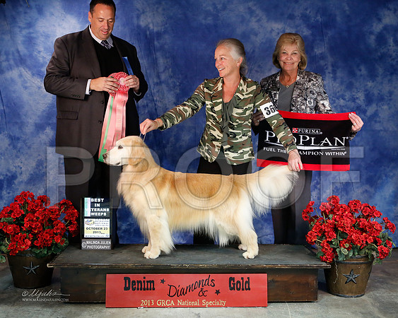 Vet-6248-WFOct2013-HR