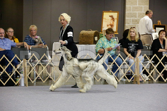 _JJ_0737-AfgBeltonOct2014-HR3