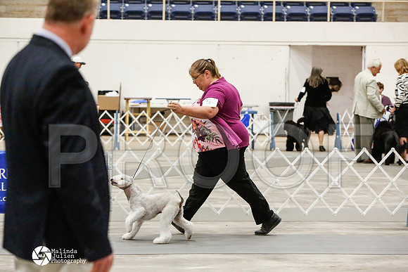 _CK_7885-AblnMay2014-web