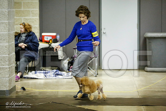 _JJ_5529-BeltonJan2015IABCA-HR3