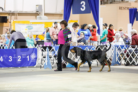 _RH_7538-SAJul14-HR3
