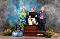 Havanese #5 Sun G1 Judge Anne Bolus