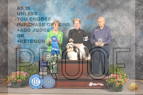 Havanese #5 Sun G1 Judge Anne Bolus_MJ_1735_SA_2022_HR3