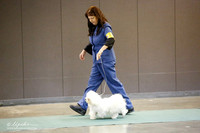 Coton Sun