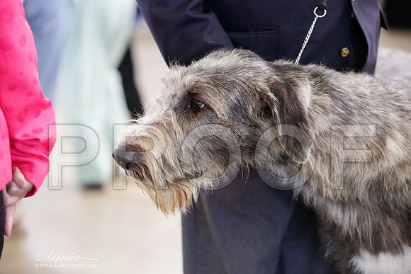 _JJ_4544-DallasJul2014-HR3