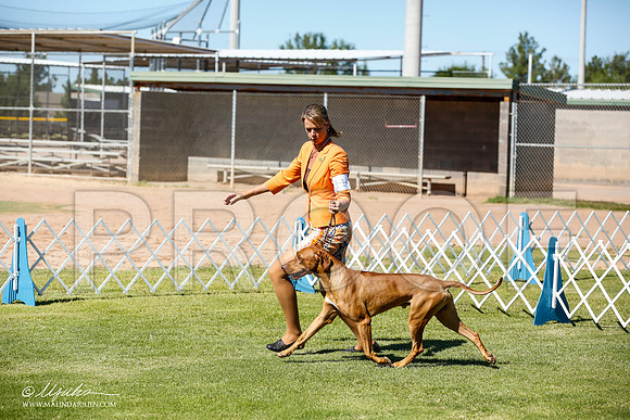 _JN_6015-AlamogordoOct2014-HR3