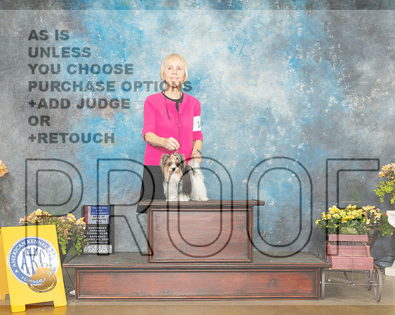 Biewer Terrier #14 Sat BOSBOW Judge Ray Filburn r-MMJ_1327-NWARK2022-HR3