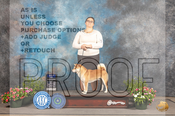 Shiba Inu #15 Sun BOW Judge Allen Odom_MJ_1019_SA_2022_HR3
