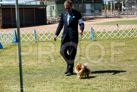 _JN_4936-AlamogordoOct2014-HR3