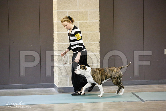 _JN_3925-BeltonJan2015-HR3