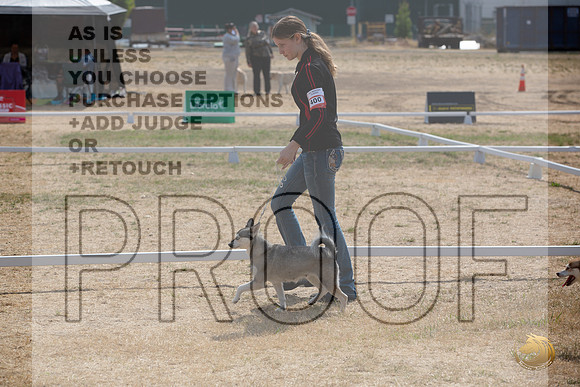 Ringside Longview WA 2024 Alaska Klee Kai #400_JJL_3553_Longview WA_2024_HR3