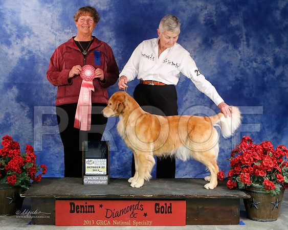 GunDog-9050-WFOct2013-HR