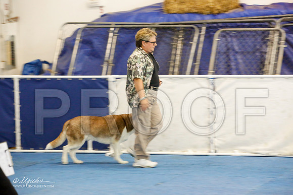 _M3_7849-AddisonHuskyMar2015-HR3