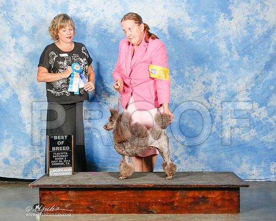 _ST_9927-2-CnroeJul2014-HR3