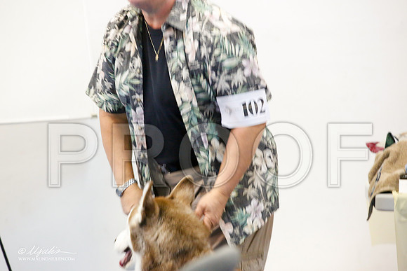 _M3_7830-AddisonHuskyMar2015-HR3