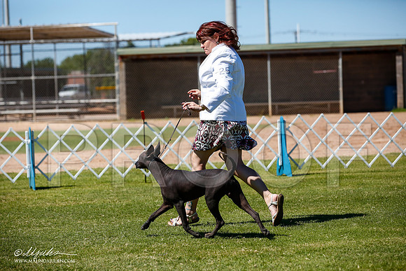 _JJ_8162-AlamogordoOct2014-HR3
