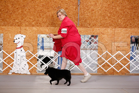 _RH_9126-CarlrolltonSept2014-HR3