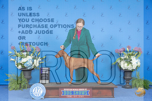 Viszla #38 THUR WB Judge Wood Wornall__JP_8090_Houston_2024_HR3
